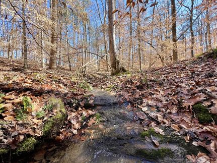 Timberland Property in Elbert County, Georgia