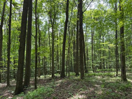 Timberland Property for sale in Clearfield County, Pennsylvania