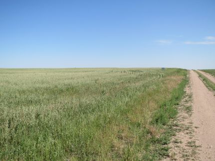 Farm and Ranch for sale in Washington County, Colorado