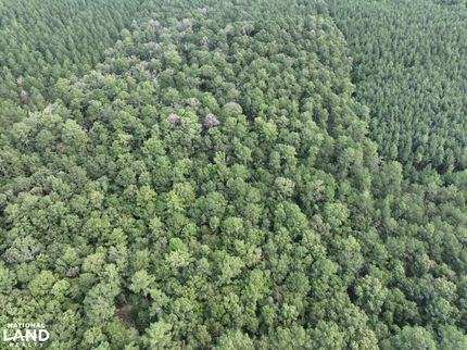 Recreational Property in Allen Parish, Louisiana
