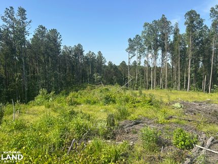 Farm and Ranch in Lauderdale County, Mississippi