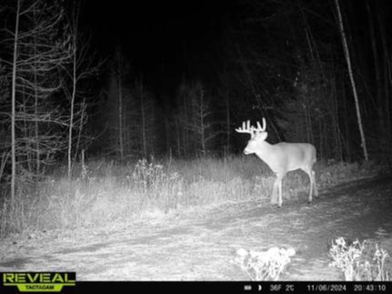 Recreational Property in Lincoln County, Wisconsin