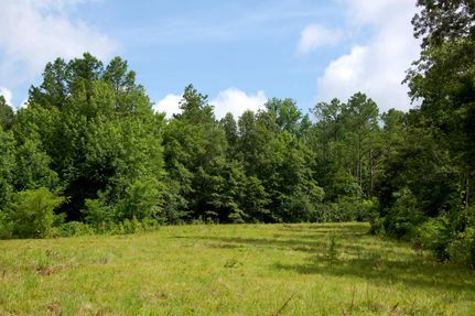 Farm and Ranch for sale in Fayette County, Tennessee