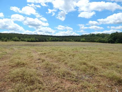 Farm and Ranch for sale in Cherokee County, Alabama
