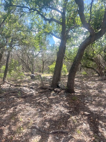 Hunting Property for sale in Real County, Texas