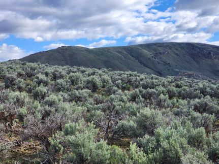 Farm and Ranch for sale in Elko County, Nevada