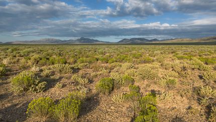 Undeveloped Land for sale in Elko County, Nevada