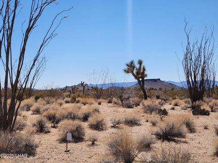 Farm and Ranch for sale in Mohave County, Arizona