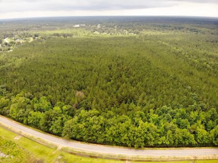 Timberland Property for sale in Lowndes County, Mississippi