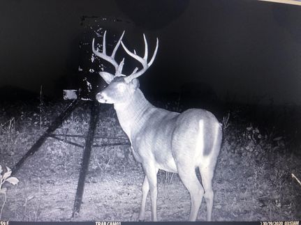 Recreational Property for sale in Todd County, Kentucky
