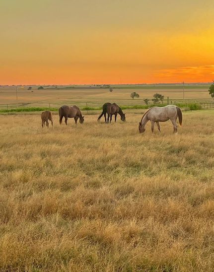 Timberland Property for sale in Jackson County, Oklahoma
