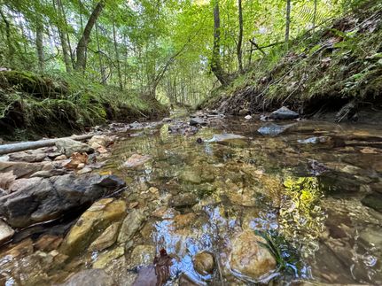 Timberland Property for sale in Tallapoosa County, Alabama