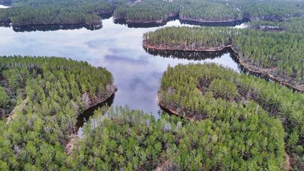 Timberland Property for sale in Jones County, Mississippi