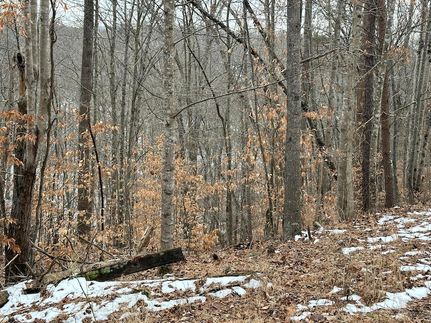 Commercial Property for sale in Bedford County, Virginia