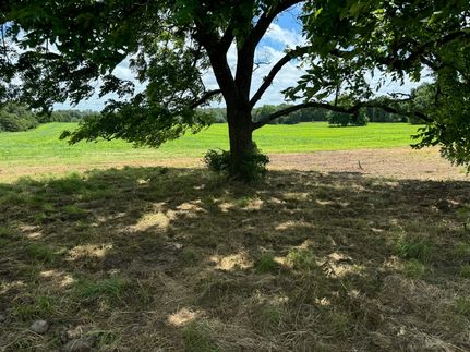 Undeveloped Land in Laclede County, Missouri
