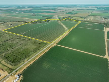 Land for sale in Chicot County, Arkansas