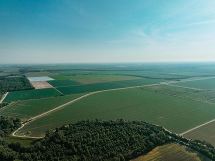 Farm and Ranch for sale in Chicot County, Arkansas