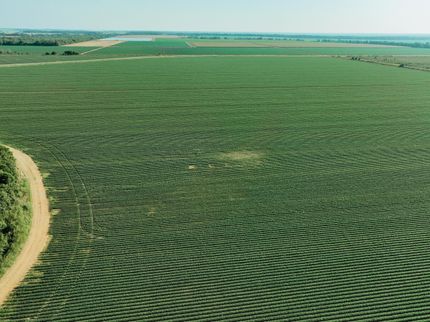 Land for sale in Chicot County, Arkansas