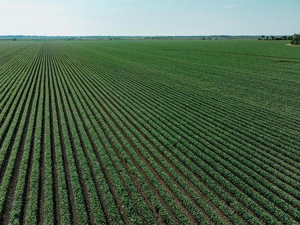 Farm and Ranch for sale in Chicot County, Arkansas