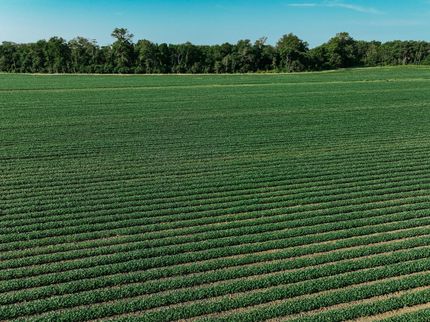 Farm and Ranch for sale in Chicot County, Arkansas