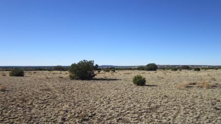 Timberland Property for sale in Apache County, Arizona