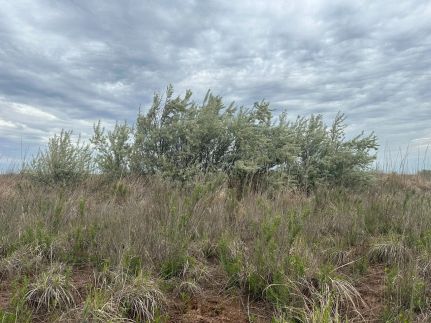 Recreational Property in Harper County, Oklahoma