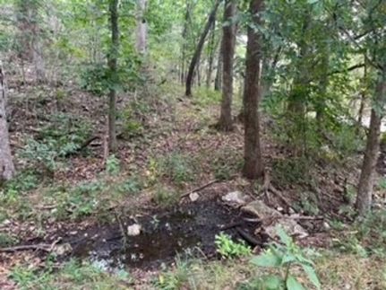 Recreational Property for sale in Wright County, Missouri