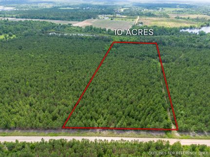 Undeveloped Land for sale in Bacon County, Georgia
