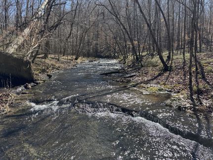 Land in Wayne County, Tennessee