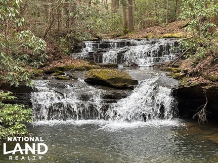 Timberland Property in Rhea County, Tennessee