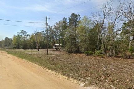 Undeveloped Land for sale in Putnam County, Florida