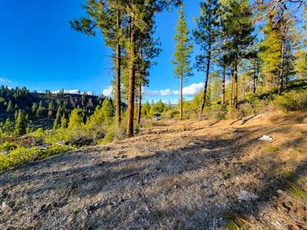 Undeveloped Land for sale in Klamath County, Oregon