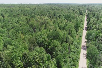 Land for sale in Alger County, Michigan