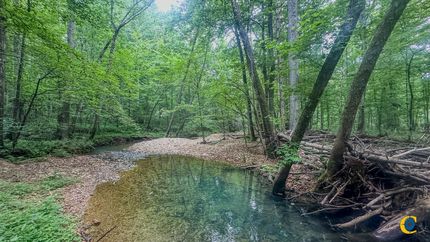 Timberland Property for sale in Benton County, Tennessee