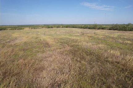 Farm and Ranch for sale in Coleman County, Texas