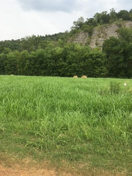 Timberland Property for sale in Izard County, Arkansas