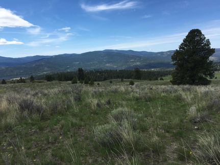 Timberland Property for sale in Okanogan County, Washington