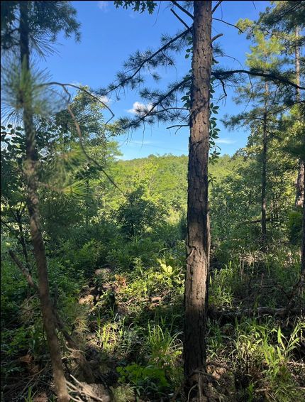 Land for sale in Latimer County, Oklahoma