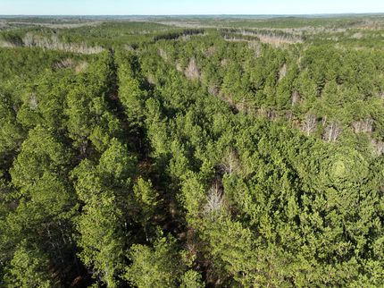 Farm and Ranch in Pickens County, Alabama