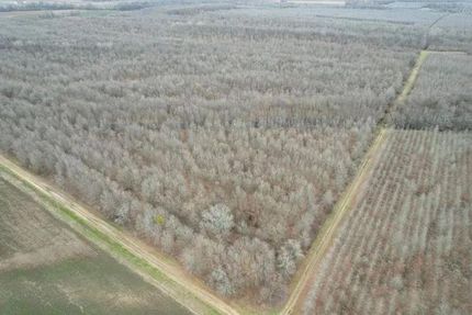 Farm and Ranch for sale in East Carroll Parish, Louisiana
