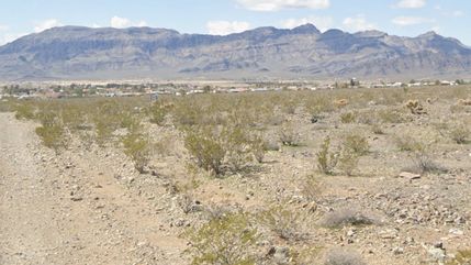 Undeveloped Land for sale in Nye County, Nevada