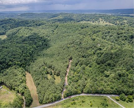 Undeveloped Land for sale in Meigs County, Tennessee