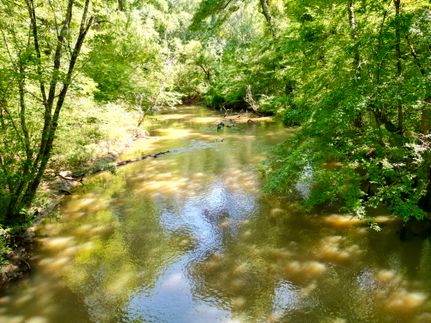 Recreational Property for sale in Pike County, Alabama