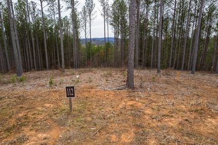 Land for sale in Gilmer County, Georgia