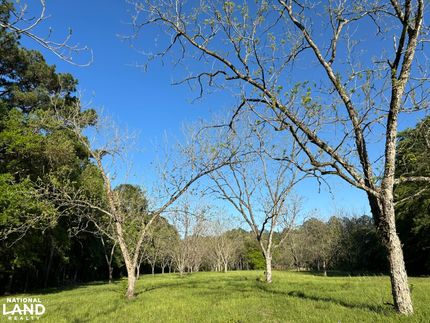 Farm and Ranch in Pearl River County, Mississippi