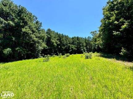 Timberland Property in Perry County, Alabama