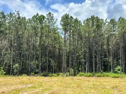 Farm and Ranch for sale in Tyler County, Texas