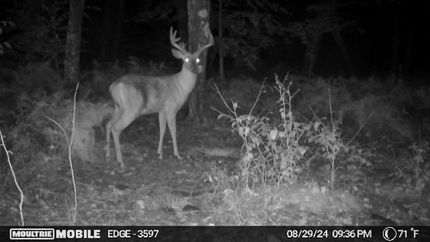 Land in Clinton County, Pennsylvania