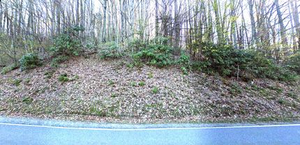Undeveloped Land in Avery County, North Carolina