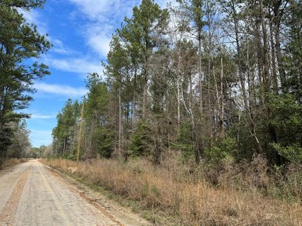 Land for sale in Covington County, Alabama